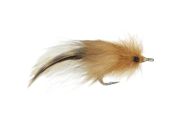 Doyle's Megalops Mullet