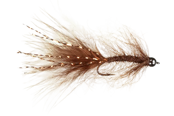 Mohair Leech