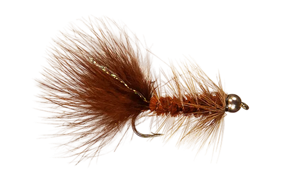 Woolly Bugger