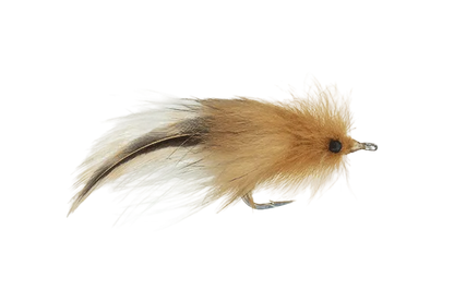 Doyle's Megalops Mullet