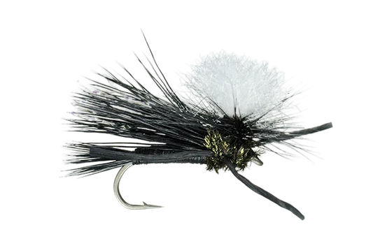 MFC Para-Cricket