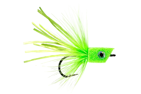 Bluegill Popper