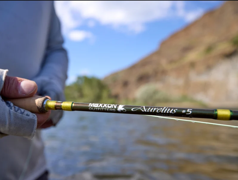 MAXXON Aurelius 4-Piece Fly Rod
