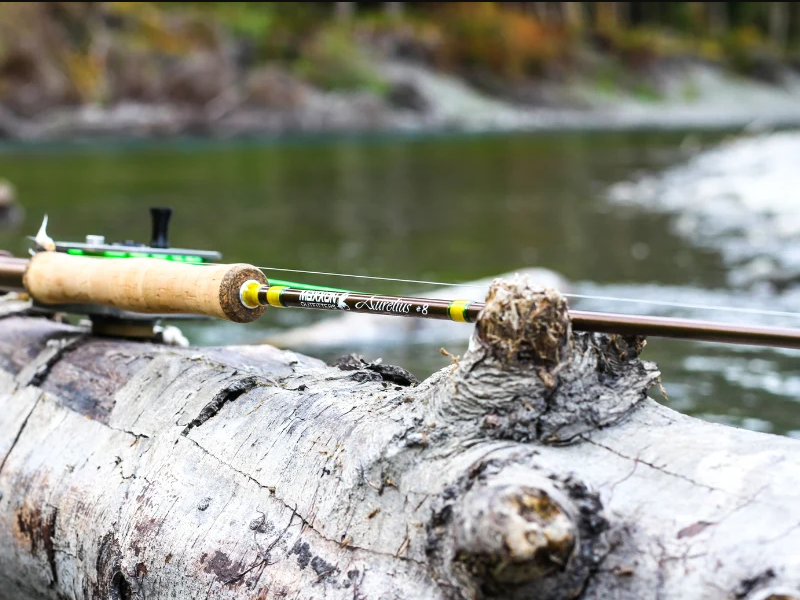 MAXXON Aurelius 4-Piece Fly Rod