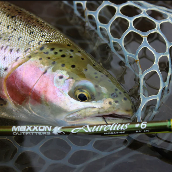 MAXXON Aurelius 4-Piece Fly Rod