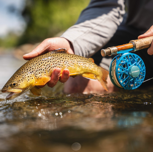 Cheeky Burst Fly Reel