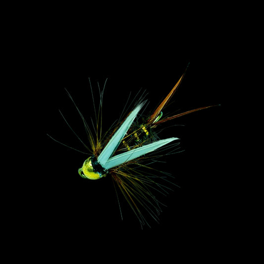 Prince Nymph- Finatics Fly Company - FINATICS Fly Company