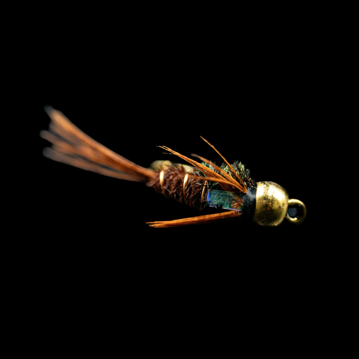 Flashback Pheasant Tail (Bead Head) – FINATICS - FINATICS Fly Company