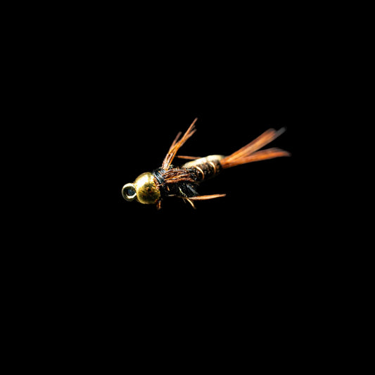 Pheasant Tail (Bead Head) – FINATICS - FINATICS Fly Company