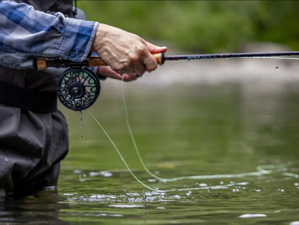 MAXXON FALCON 2-Piece Fly Rod