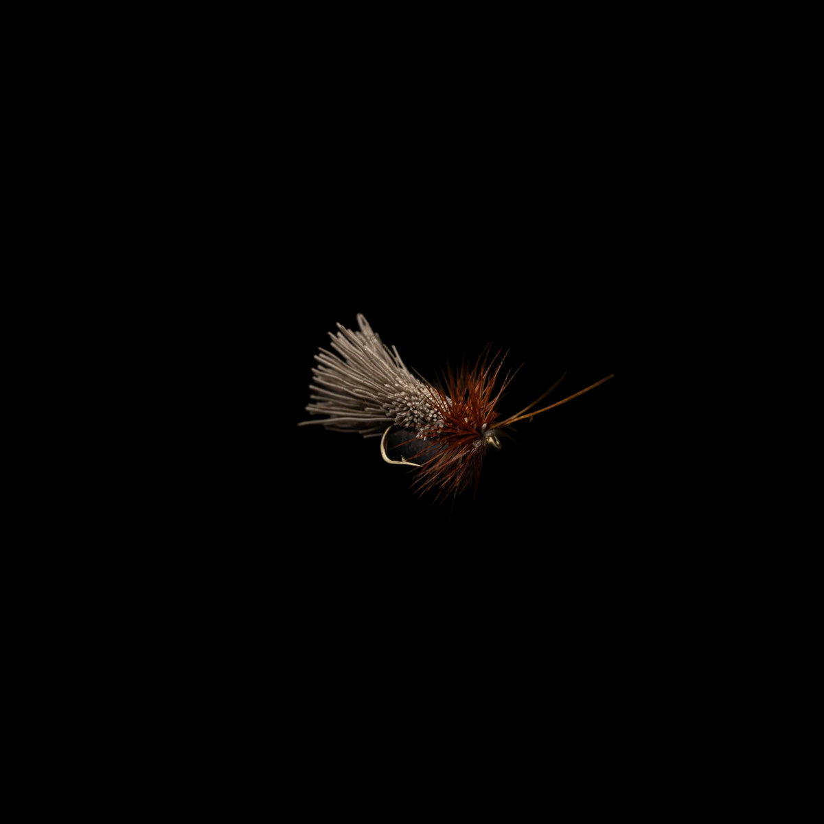 Goddard Caddis – High-Floating Adult Caddis Dry Fly - FINATICS Fly Company