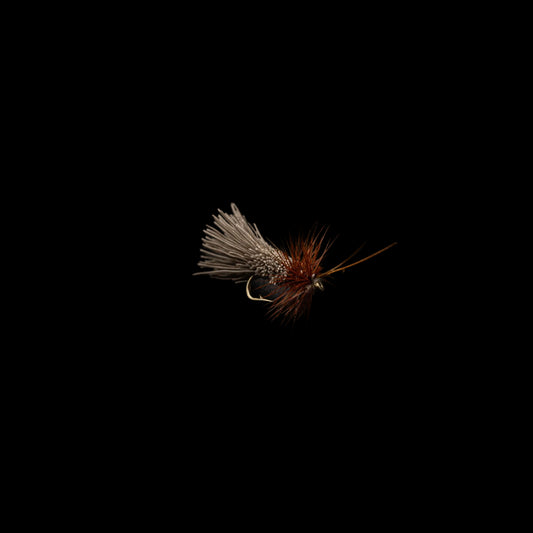 Goddard Caddis – High-Floating Adult Caddis Dry Fly - FINATICS Fly Company