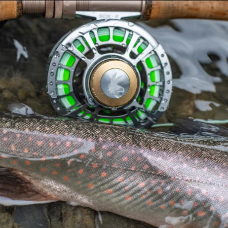 MAXXON SDX Fly Reel