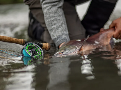 MAXXON SDP Fly Reel