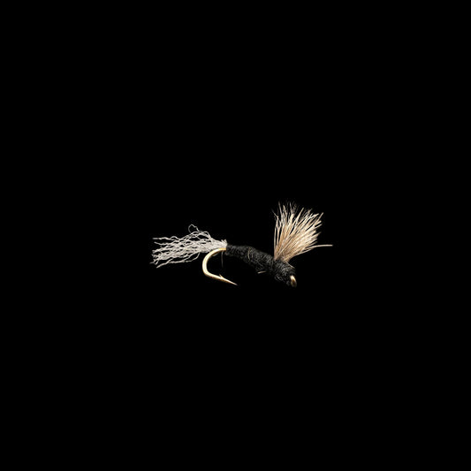 Sparkle Dun – Trico (Male) - FINATICS Fly Company