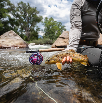 Cheeky Burst Fly Reel